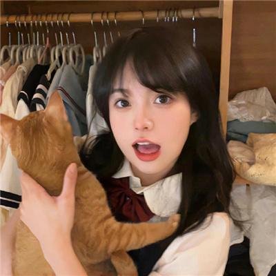 圣兽